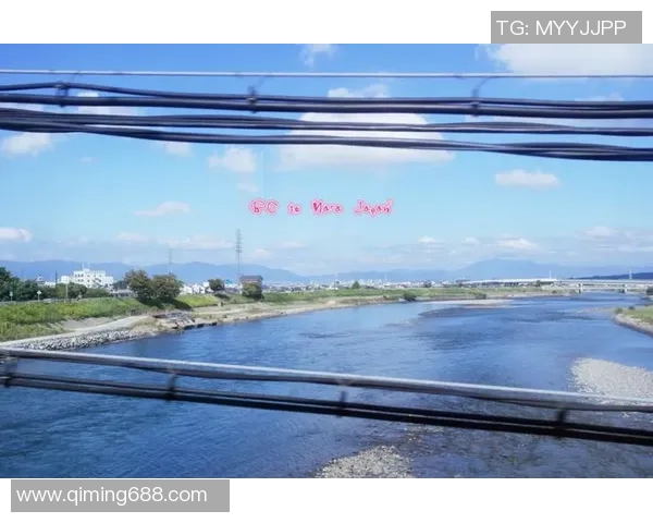 大阪与广岛比赛直播观看指南及平台推荐