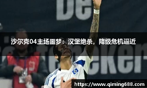 沙尔克04主场噩梦：汉堡绝杀，降级危机逼近