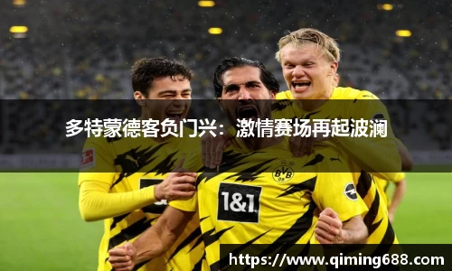 多特蒙德客负门兴：激情赛场再起波澜