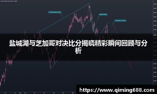 盐城湖与芝加哥对决比分揭晓精彩瞬间回顾与分析