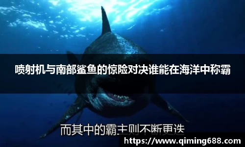 喷射机与南部鲨鱼的惊险对决谁能在海洋中称霸